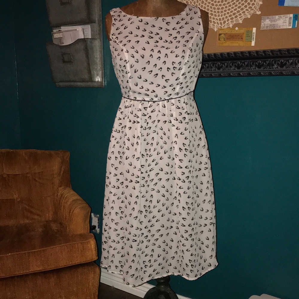 Off White & Black Sheer Dress